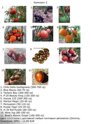 Erinevate sortide tomatite seemned (foto #2)