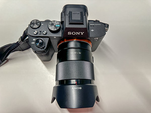 Sony Alpha 7 II + Sony SEL 35F18F + Sony F20M (2 foto / 6)