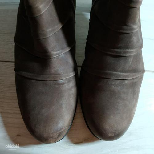 Кожаные фирменные женские ботинки от Gabor - 40.5 р (фото #3)