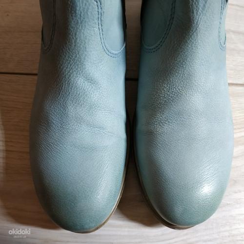 Кожаные стильные молодежные ботинки от MAX 37 р - Оригинал (фото #2)