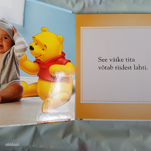 Uued raamatud (4 foto / 10)