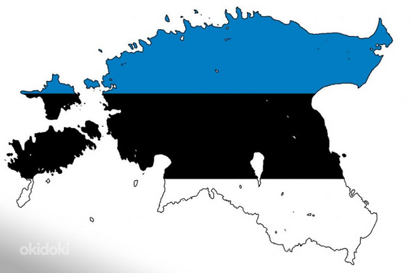 Переводчик RU-EST/EST-RU, UA-EST