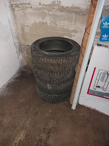 Hakkapellita 7 talverehvid (1 foto / 3)