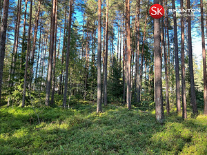 Kullerkupu tn 3, Kangru, Kiili vald, Harjumaa (6 foto / 6)