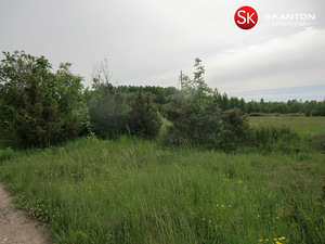 Suur-Tisleri, Vääna, Harku vald, Harjumaa (7 foto / 10)