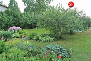 Ristiku, Raikküla, Rapla vald, Raplamaa (5 foto / 10)