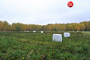 Uue-Vabriku, Kiideva, Haapsalu linn, Läänemaa (3 foto / 10)