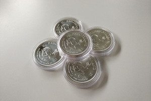Южноафриканские серебряные монеты Krugerrand (5x 1 oz)
