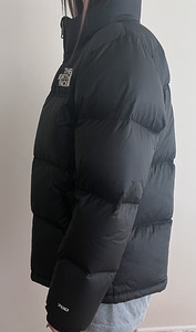 The North Face Puffer (5 foto / 5)