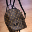 Louis Vuitton Palm Spring Bag (foto #1)