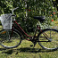 Jalgratas Classic viilutatud raamiga (foto #1)