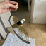 Lendav lind kassile (foto #2)