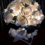 IZOLON augšanas ziedu ražošanai - Lampas (foto #3)