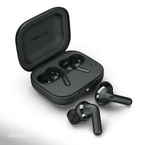 Motorola Moto Buds+ , Forest Grey