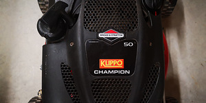 Muruniiduk Klippo champion (3 foto / 4)