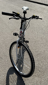 Велосипед Bottari Oklahoma Good Bike (8 фото из 9)