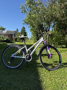 24" jalgratas (5 foto / 6)
