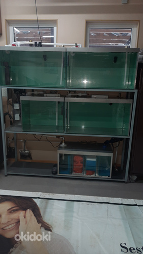 Комплекс аквариумов для разведения рыб (фото #1)