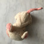 Мышь с движущимся хвостом и головой (фото #2)