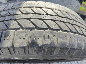 Запаска от Renault (2 foto / 6)