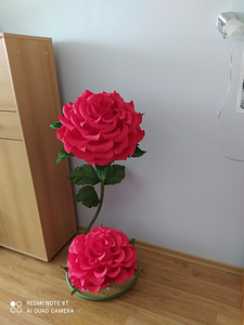 Kasvu lilled (3 foto / 10)