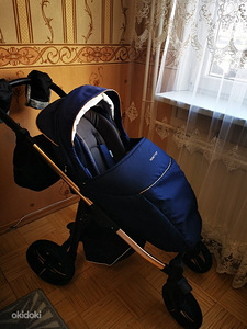 Bebetto (2 foto / 6)
