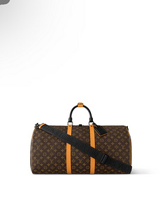 Louis Vuitton carry bag (2 foto / 5)