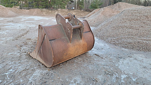 Müüa kihvadega karjäärikopp (3 foto / 3)