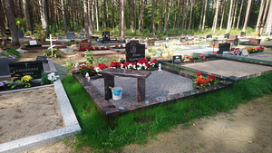 Памятники, ограждения (3 фото из 7)