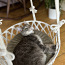Гнездо для домашних животных, кошачье гнездо, поделка макрам (фото #1)
