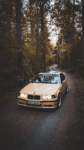 BMW E36 316 M54B22, 1994