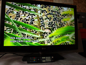 LG 32"