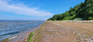 Mõru vkt 14, Moldova, Lüganuse vald, Ida-Virumaa (15 фото из 17)