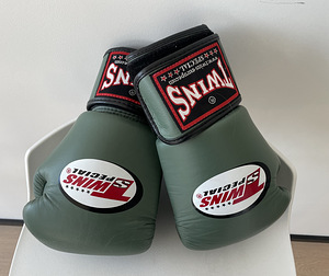 TWINS специальные боксерские перчатки 10 унций
