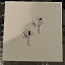 Airpods pro 2 (2nd generation) (foto #2)