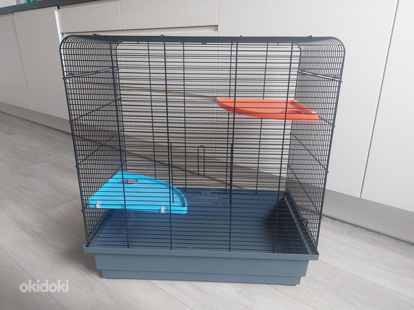 Клетка
