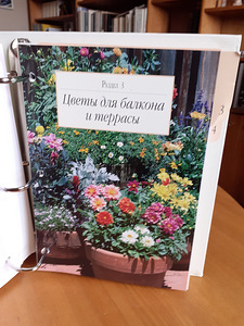 Minu unistuste aed (6 foto / 6)
