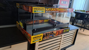 Klaasterraarium Exo-Terra Natural Terrarium 60x45x30 (2 foto / 3)