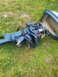 Johnson evinrude 33 hp (6 foto / 6)