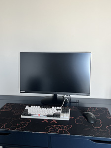Monitor koos klaviatuuri ja hiirega (1 foto / 5)