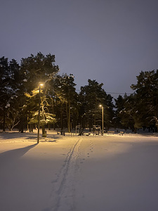 Otsin tööd lumekoristus (2 foto / 2)