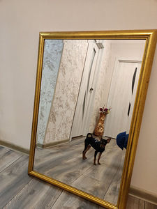 Peegel 70*100 (2 foto / 4)