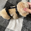 Правильная шлейка для собак от ROGZ (фото #4)