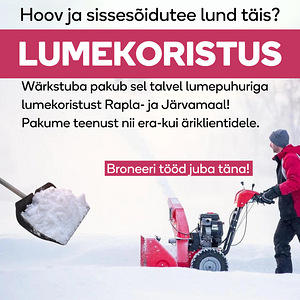 Lumetõrjetööd lumepuhuriga. (1 foto / 1)