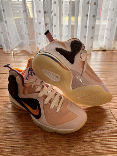 Nike Air Jordan, LeBron James