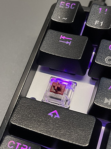 SKYLOONG SK61 keyboard/klaviatuur (4 foto / 6)