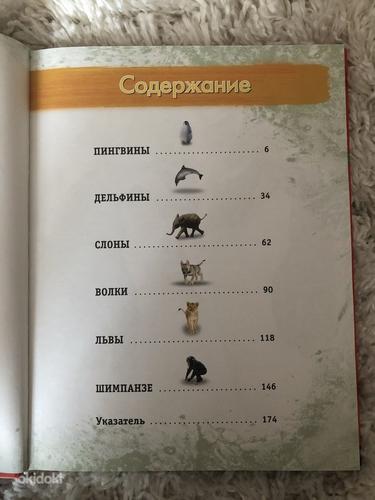 Loomade entsüklopeedia raamat (foto #2)