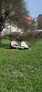 Täispuhutav rannatool