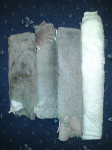Nahkid sikku (8 foto / 8)