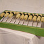 Loenduskoda abacus (foto #3)